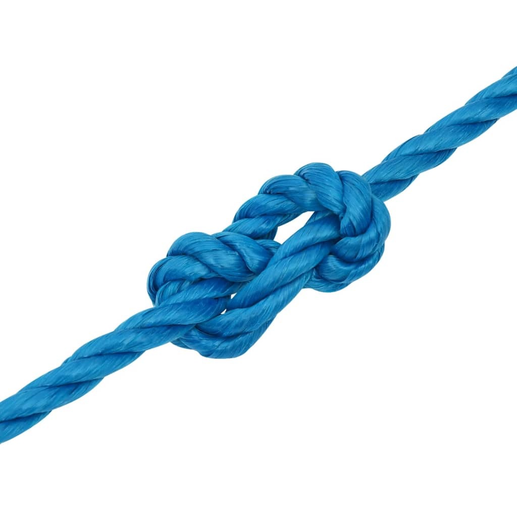 Work Rope Blue 20 mm 50 m Polypropylene