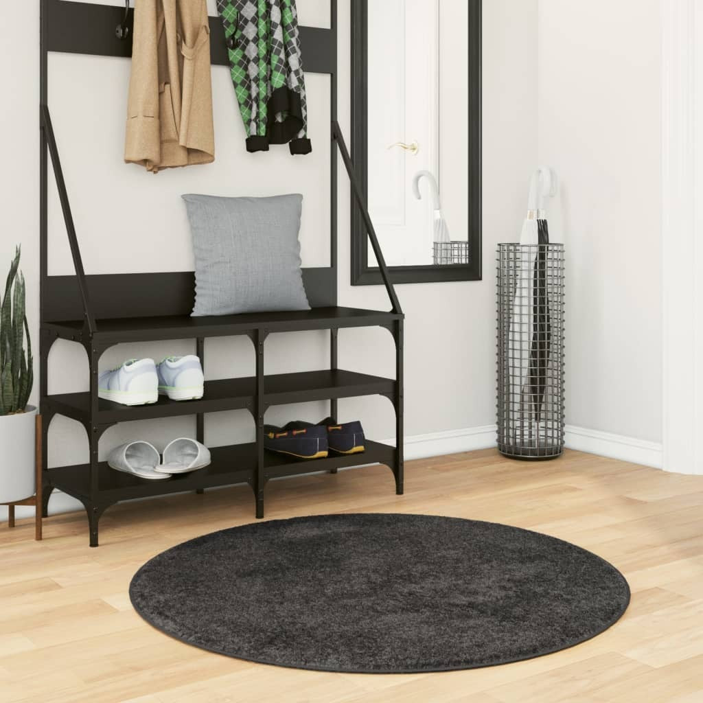 vidaXL Shaggy Rug PAMPLONA High Pile Modern Anthracite  100 cm