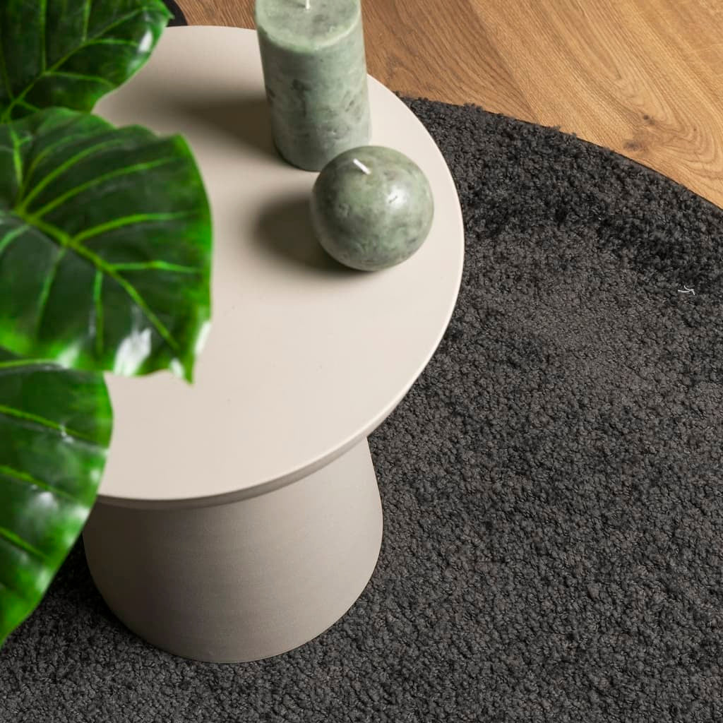 vidaXL Shaggy Rug PAMPLONA High Pile Modern Anthracite  100 cm