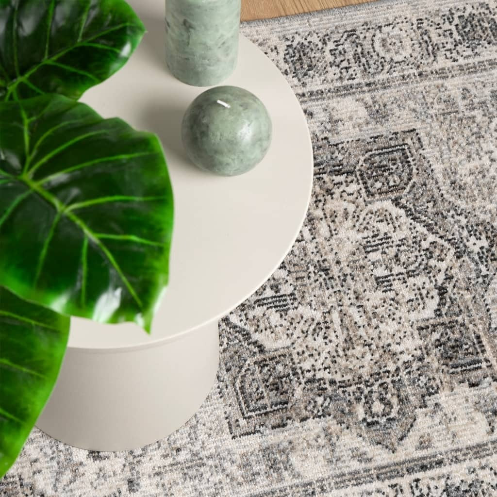 vidaXL Rug ARBIZU Indoor and Outdoor Vintage Design 80x250 cm