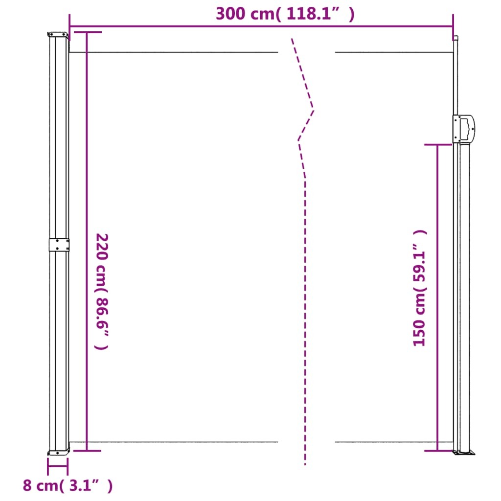 vidaXL Retractable Side Awning Black 220x300 cm