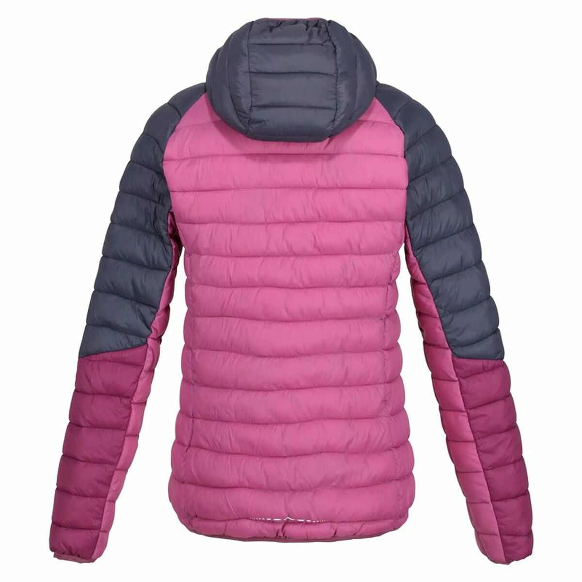 Women's Sports Jacket Regatta Harrock Fuchsia