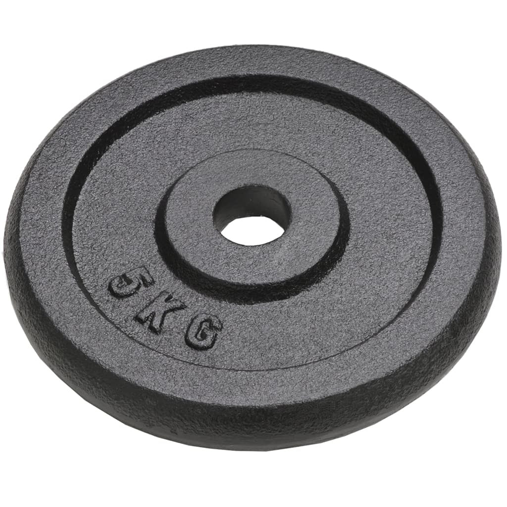 vidaXL Weight Plates 4 pcs 4x5 kg Cast Iron