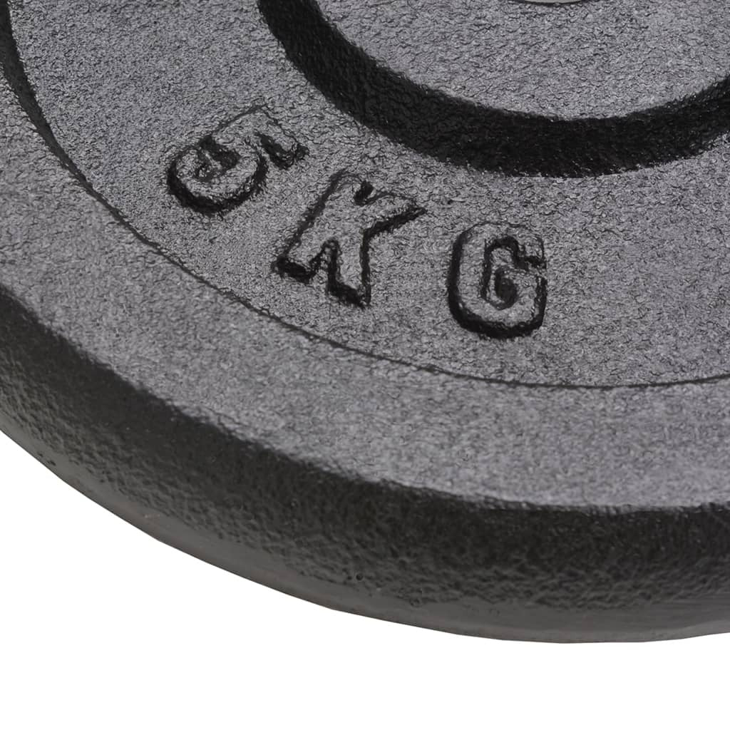 vidaXL Weight Plates 4 pcs 4x5 kg Cast Iron