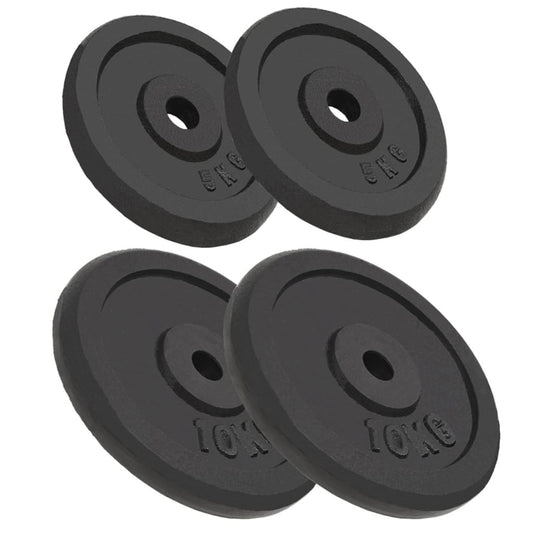 vidaXL Weight Plates 4 pcs 2x10 kg+2x5 kg Cast Iron