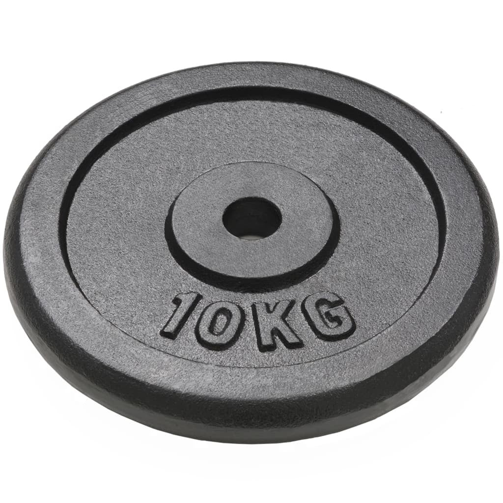 vidaXL Weight Plates 4 pcs 2x10 kg+2x5 kg Cast Iron