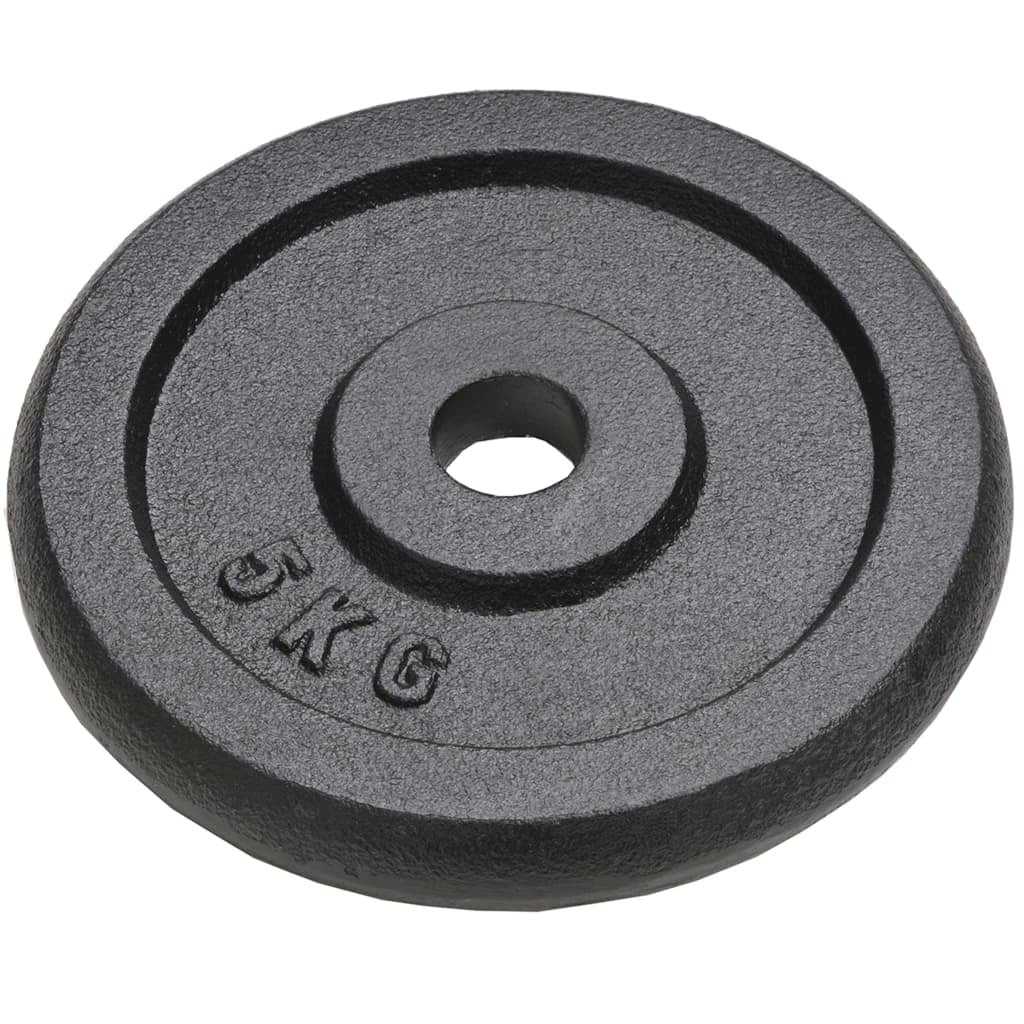 vidaXL Weight Plates 4 pcs 2x10 kg+2x5 kg Cast Iron