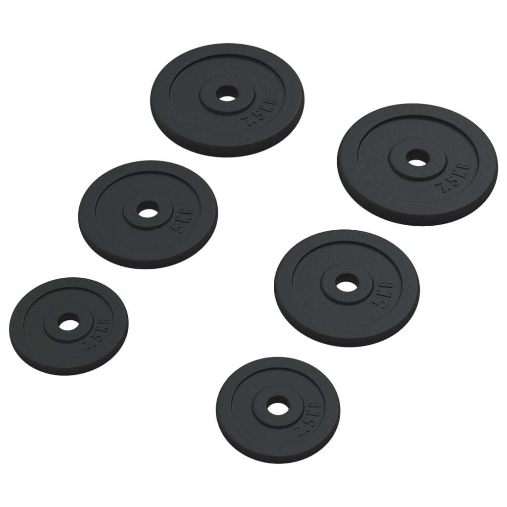 vidaXL Weight Plates 6 pcs 30 kg Cast Iron