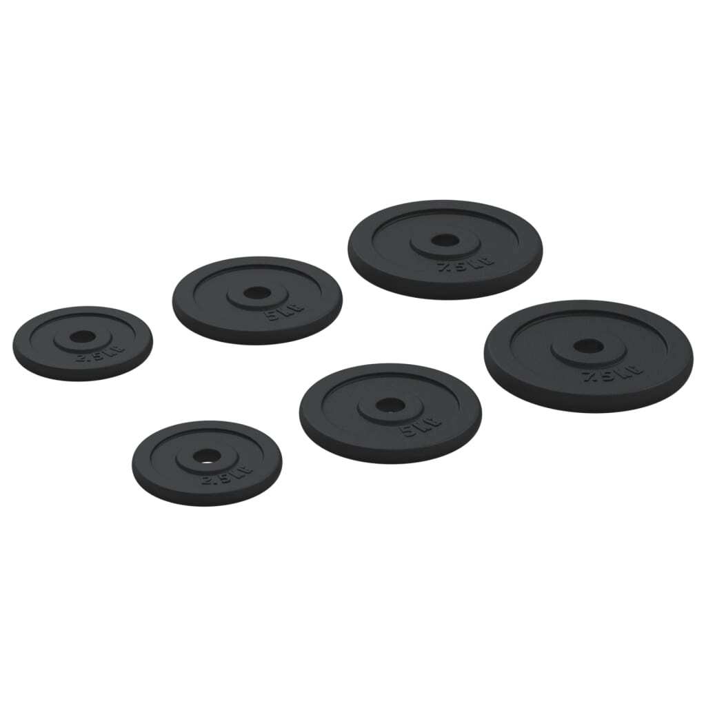 vidaXL Weight Plates 6 pcs 30 kg Cast Iron