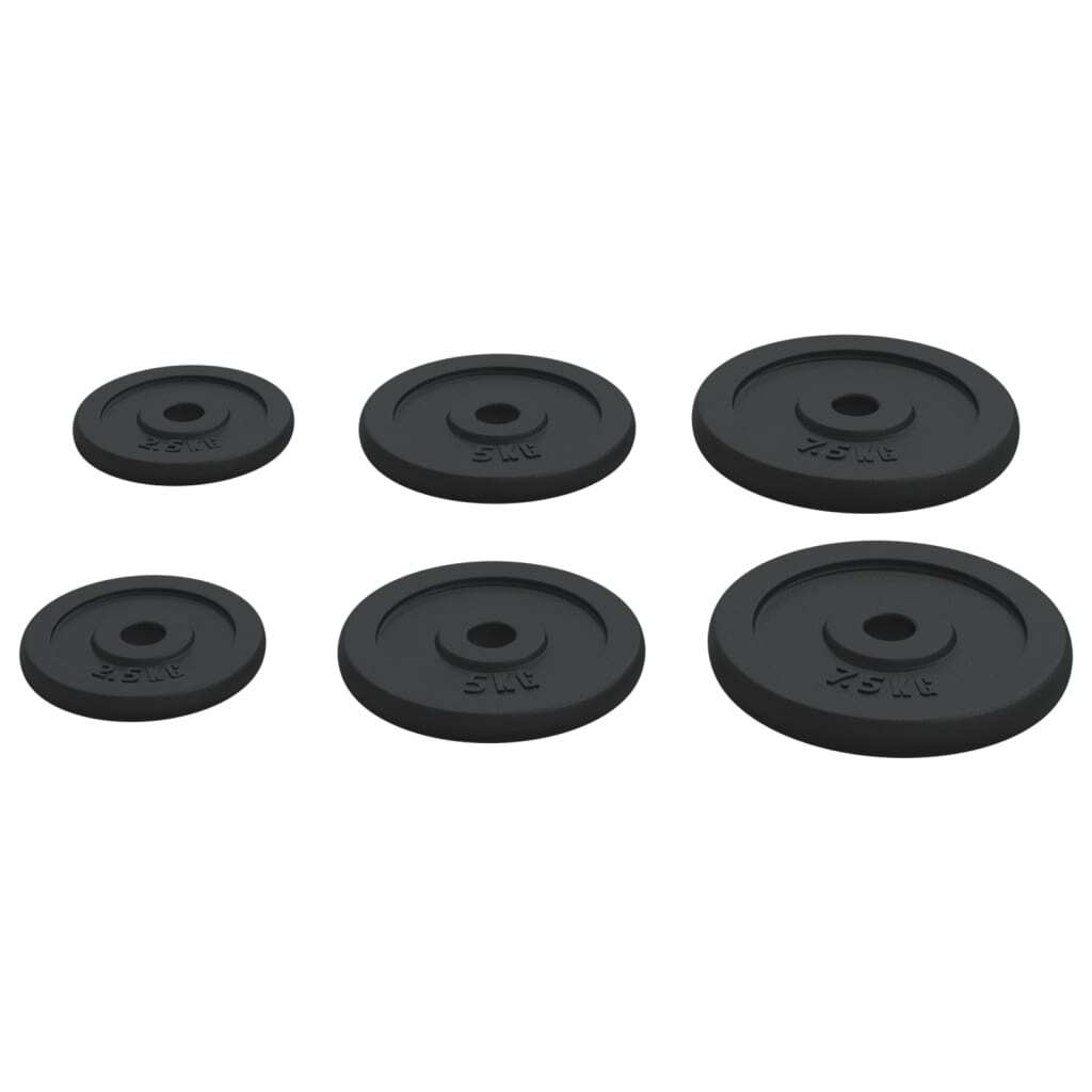 vidaXL Weight Plates 6 pcs 30 kg Cast Iron