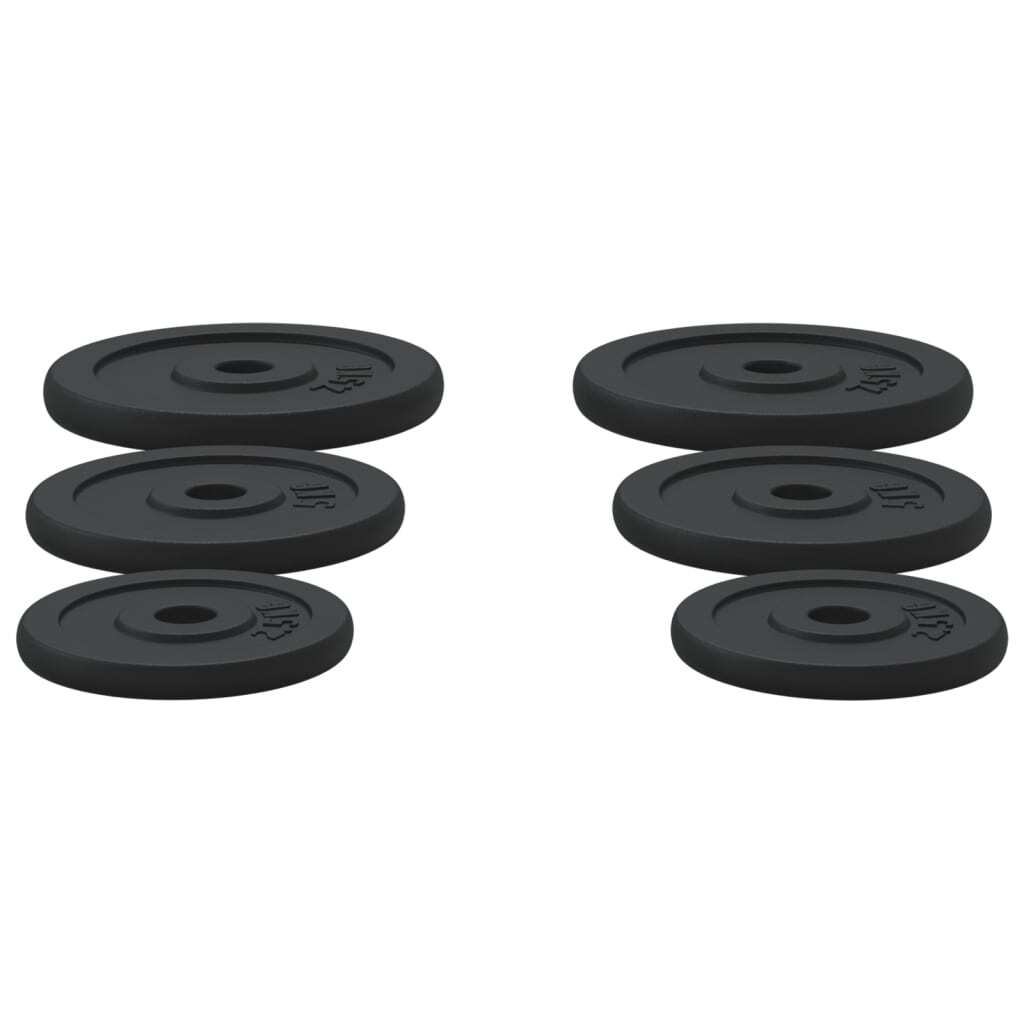 vidaXL Weight Plates 6 pcs 30 kg Cast Iron