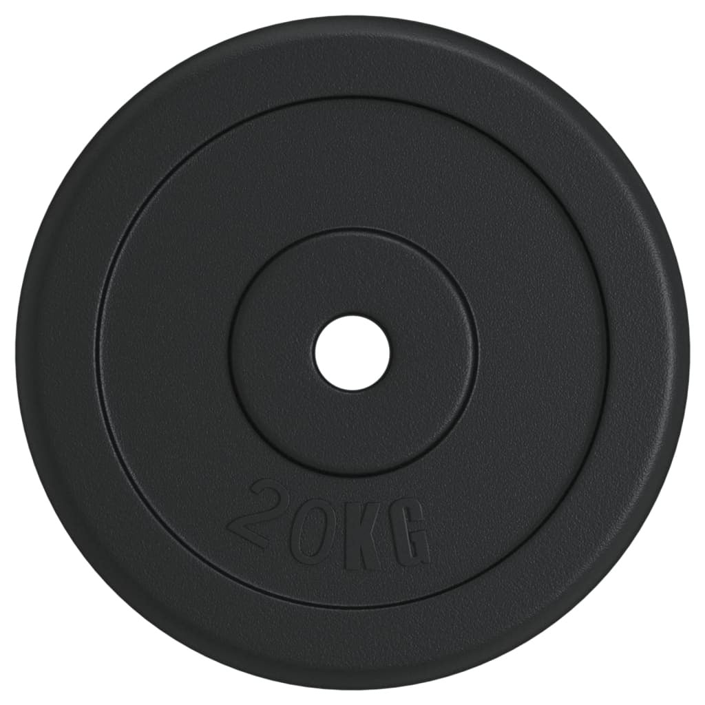 vidaXL Weight Plate 20 kg Cast Iron