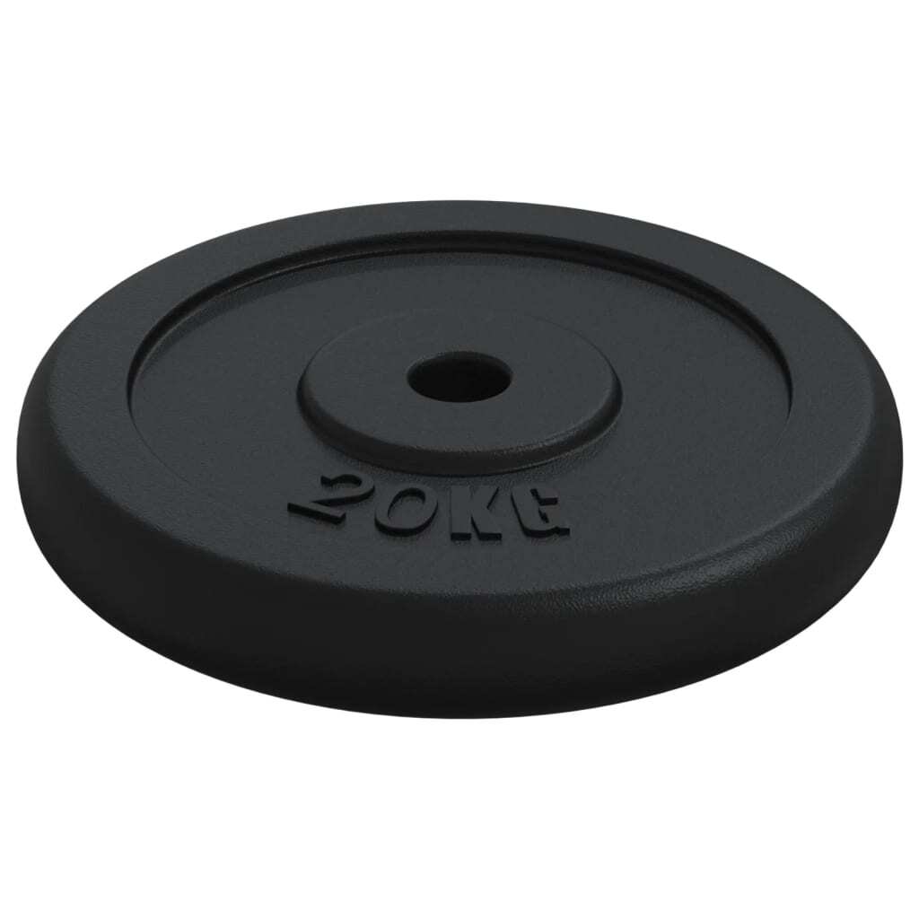 vidaXL Weight Plate 20 kg Cast Iron