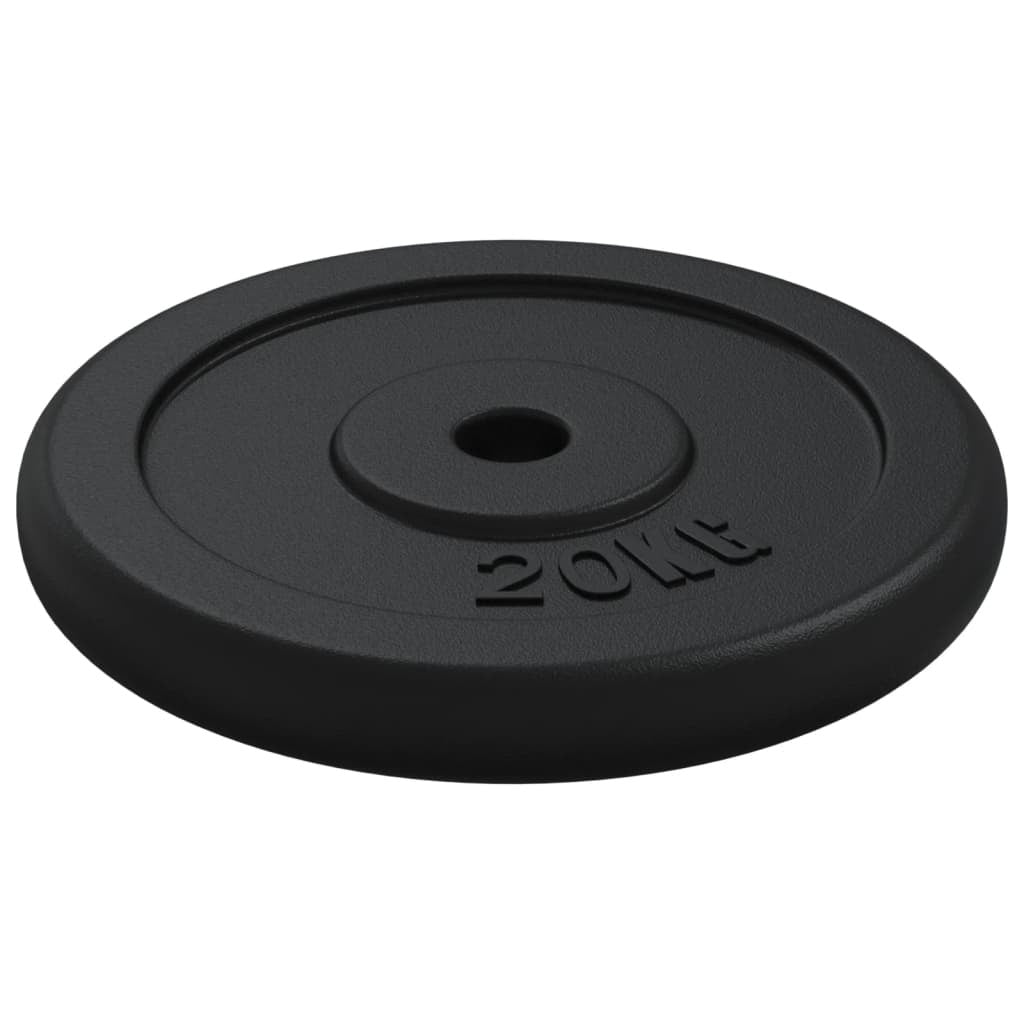 vidaXL Weight Plate 20 kg Cast Iron