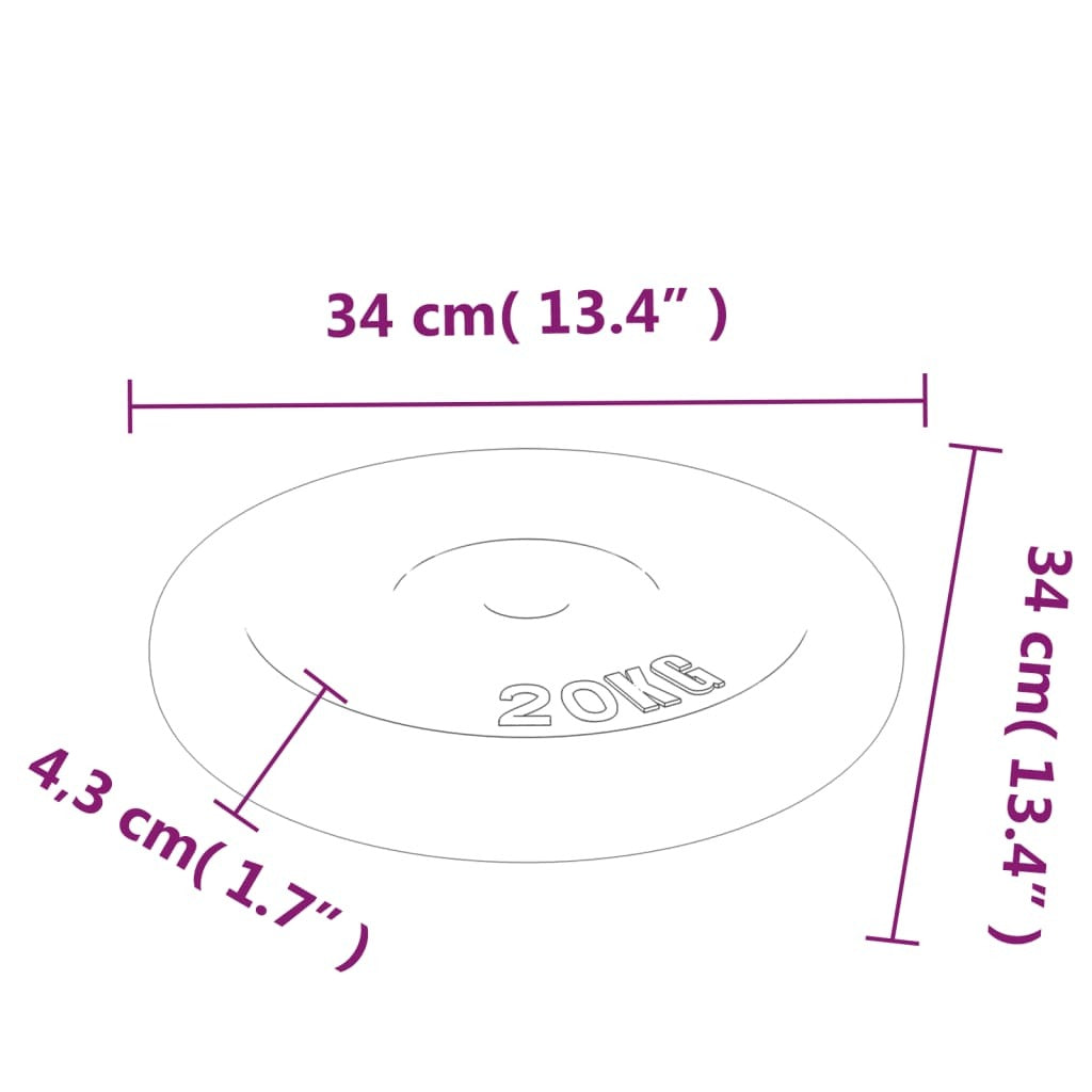 vidaXL Weight Plate 20 kg Cast Iron