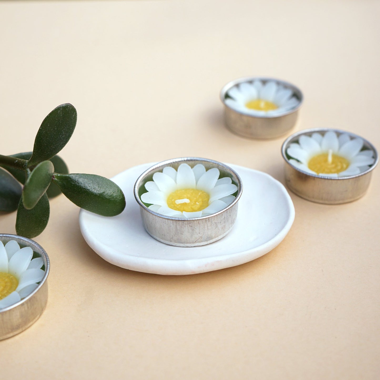 White Daisy Scented Tealights