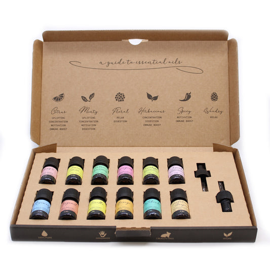 Aromatherapy Essential Oil Set - The Top 12 - Per case: 1 Piece