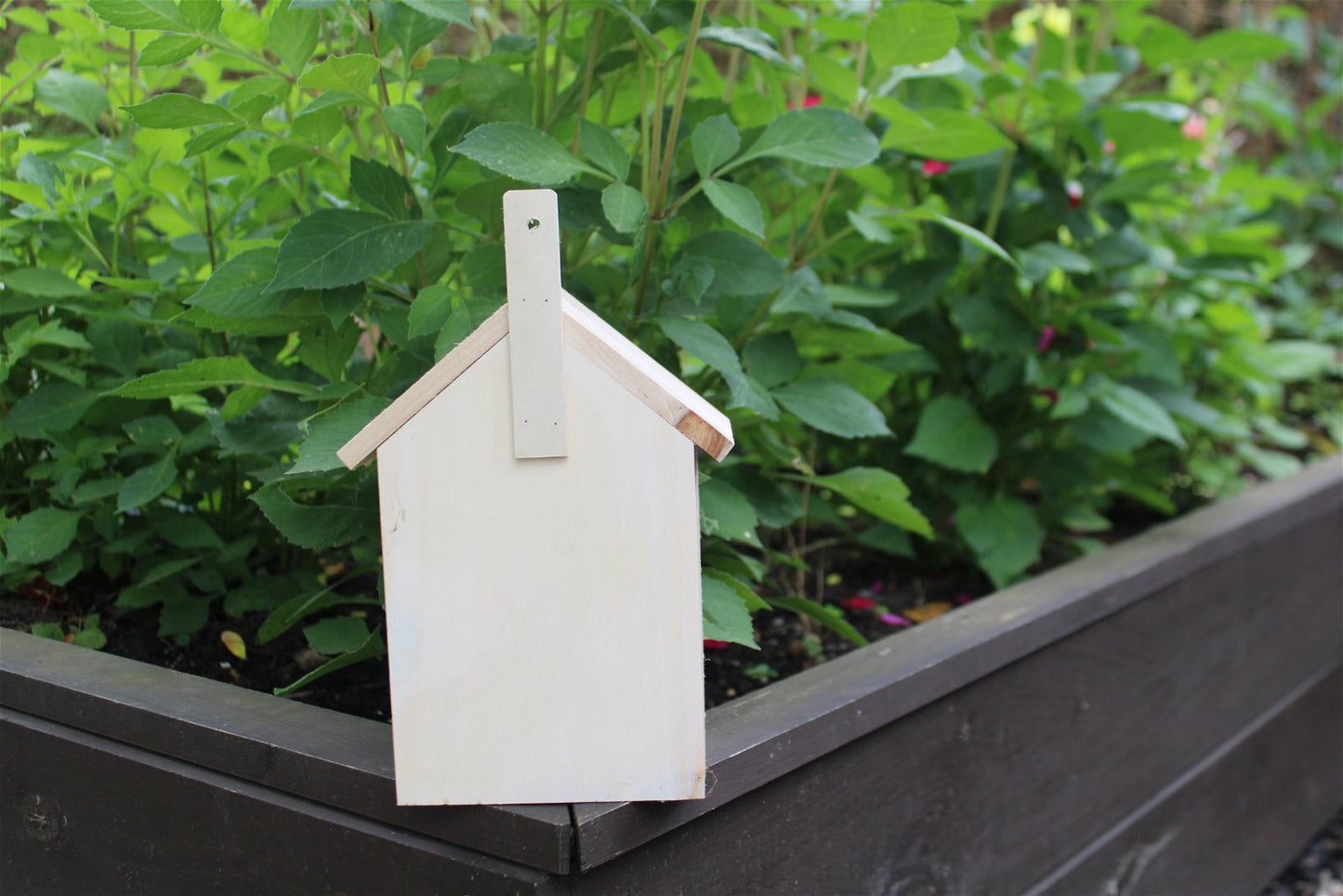 Wooden Insect House