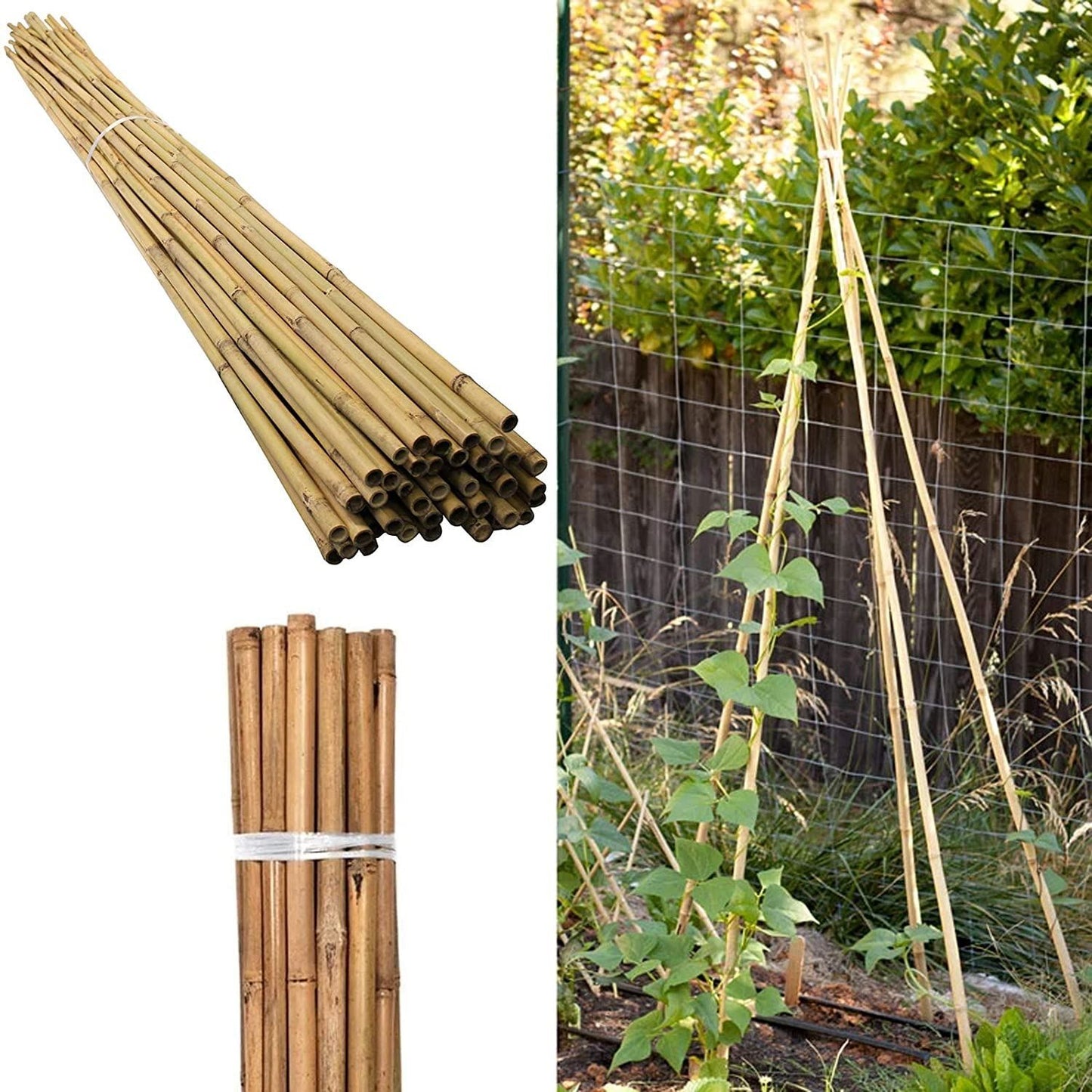 40 x 4FT Bamboo Canes Sticks 120cm