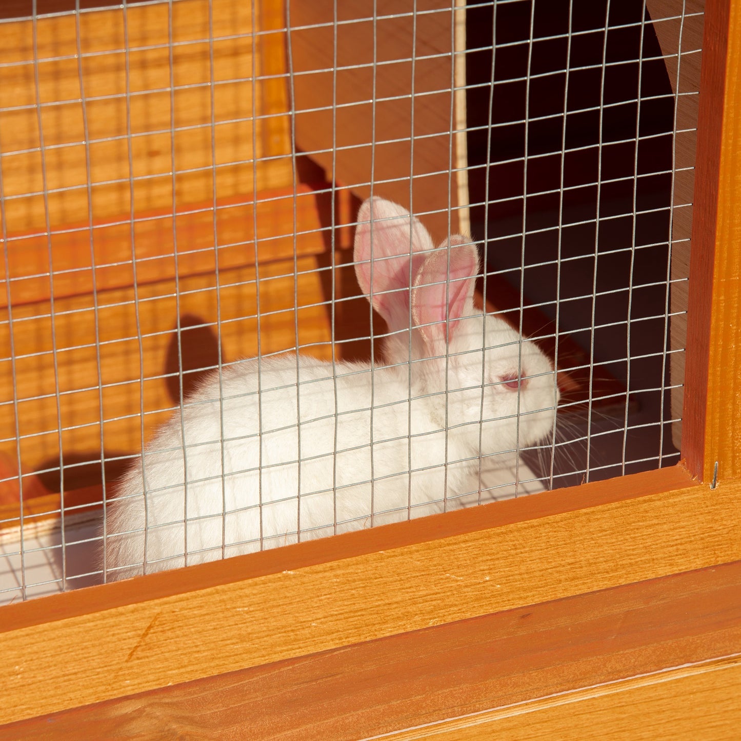 2-tier Rabbit Hutch Small Animal Wooden Bunnies House Outdoor Backyard 2 Sizes