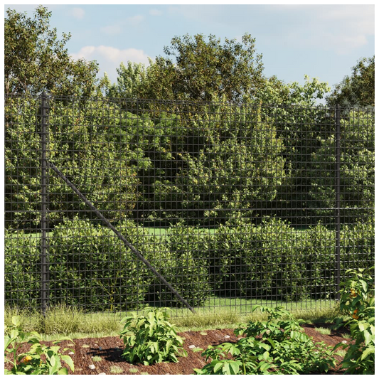 Wire Mesh Fence with Spike Anchors Anthracite 1.4x10 m