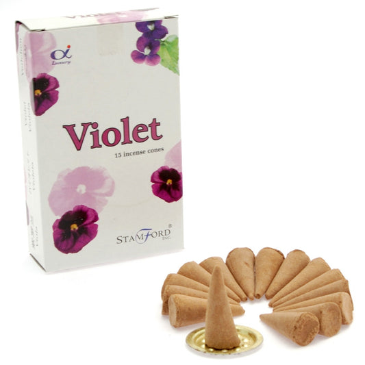 Violet Cones - Per case: 1 Piece